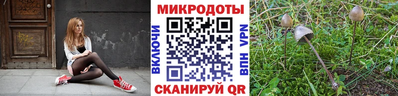 Галлюциногенные грибы мицелий  Малаховка 
